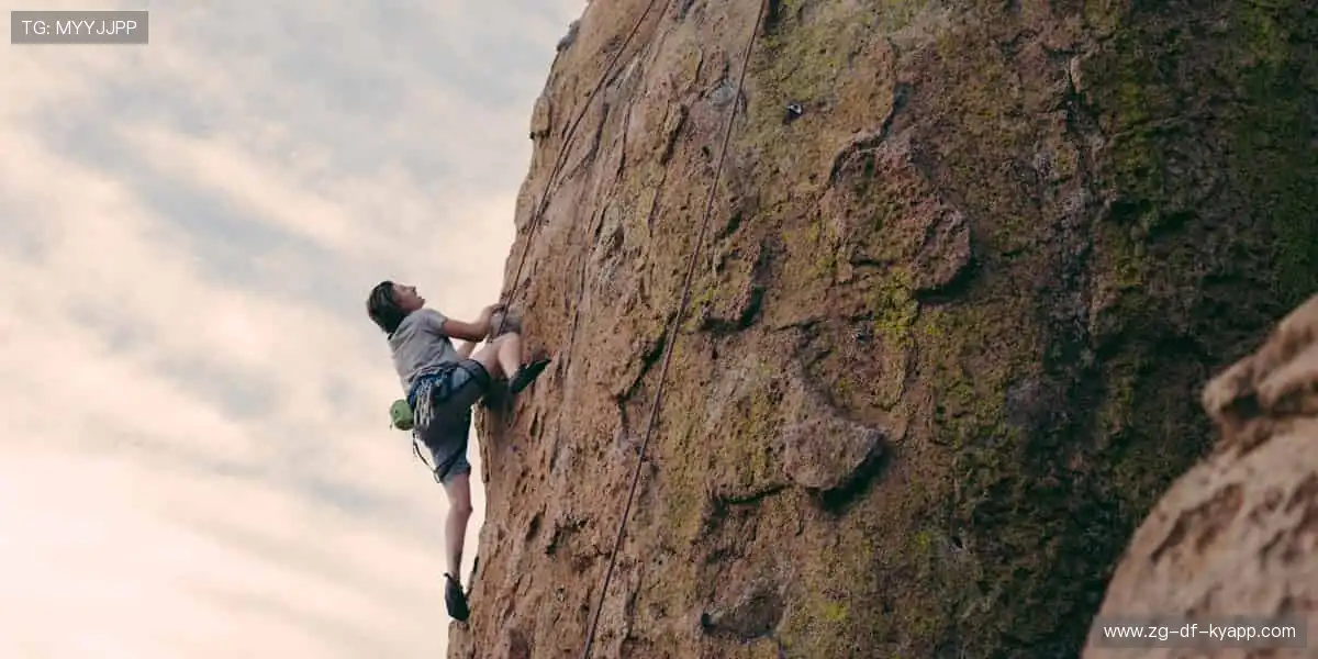 随时随地，直击赛场！📱🎯